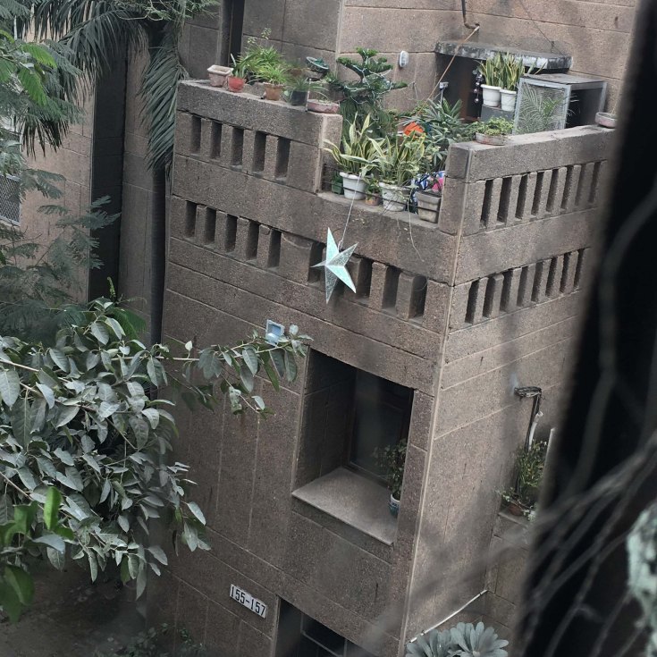 Lived modernism (Zakir Bagh Apartments, Delhi).