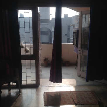 Looking out, looking in (Deluxe Apartments, Delhi).